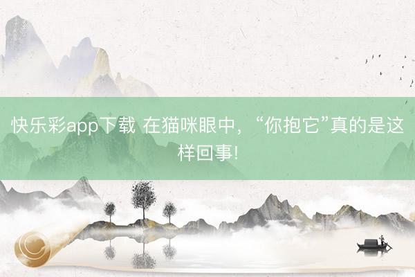 快乐彩app下载 在猫咪眼中，“你抱它”真的是这样回事!