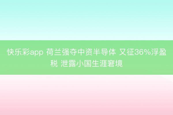快乐彩app 荷兰强夺中资半导体 又征36%浮盈税 泄露小国生涯窘境